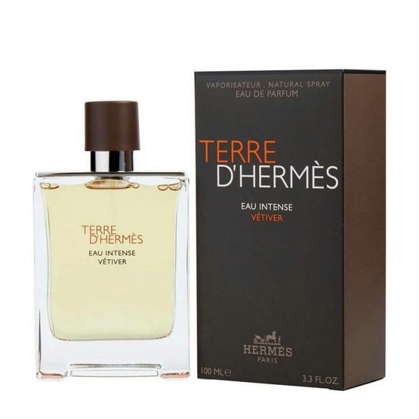 Hermes Terre D’Hermes EDT100ML