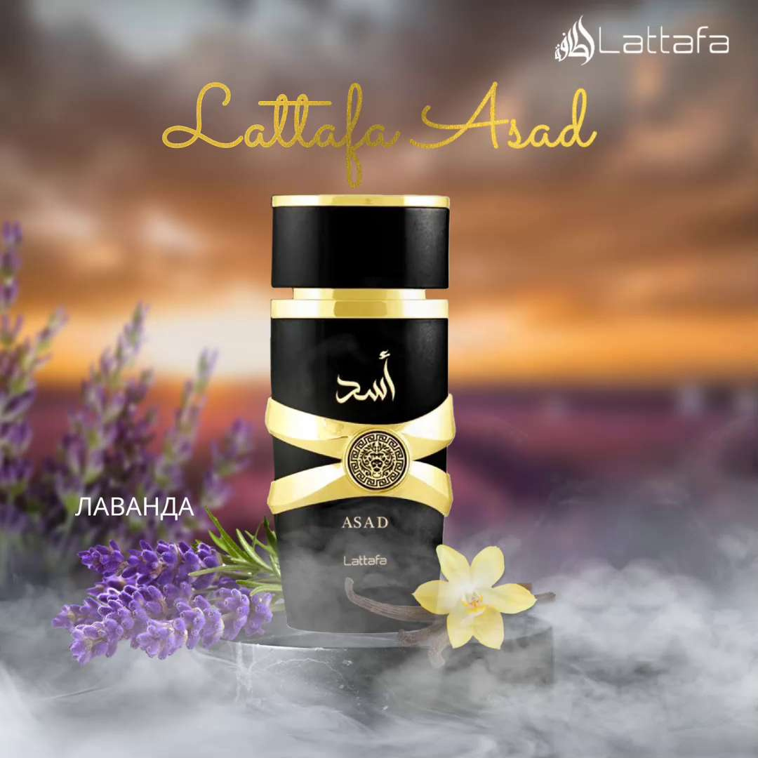 Lattafa Asad Perfume For Men 100ML
